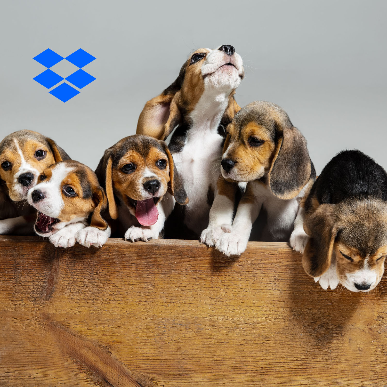 Read more about the article Dropbox