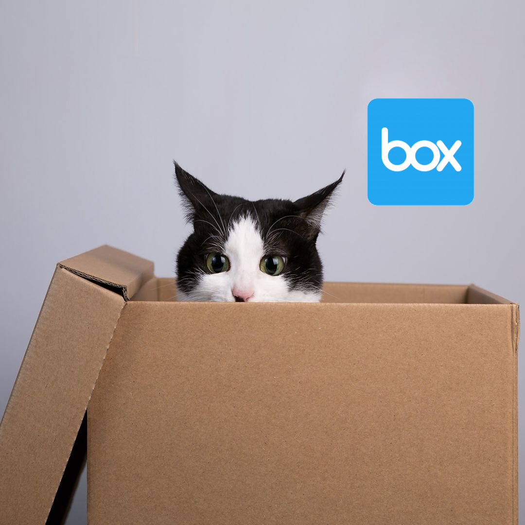 Read more about the article Box