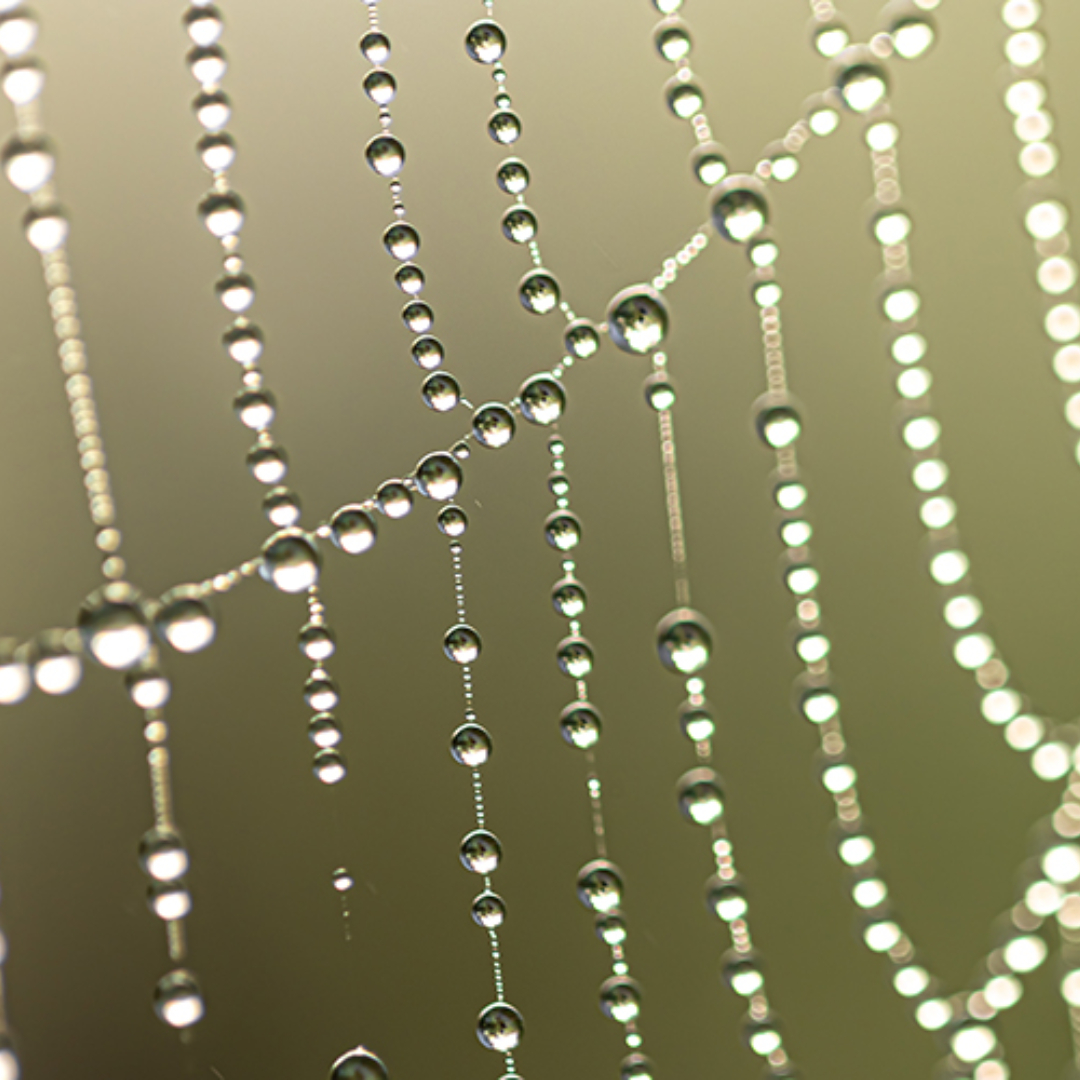 Read more about the article Network Types