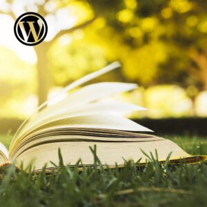 Read more about the article WordPress Plugs