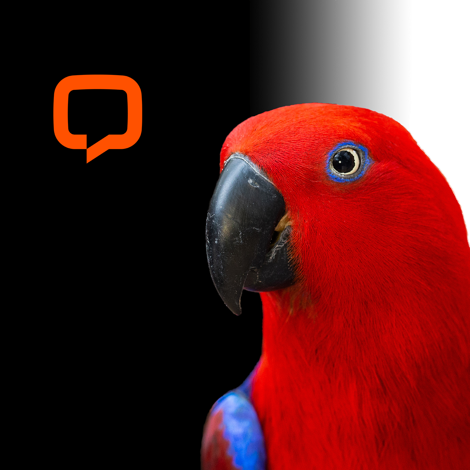 Read more about the article LiveChat